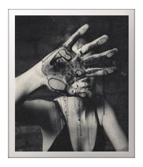 Kelly Eckel Photography